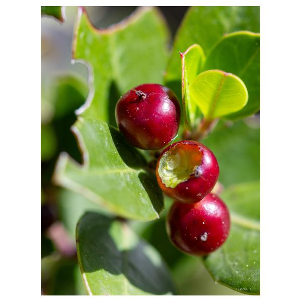 PHOTO84, CLUB, 84 , LUBERON